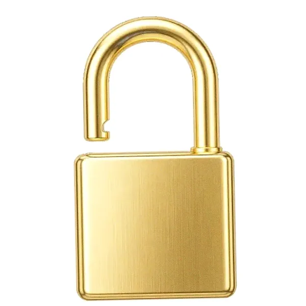 Padlock — Kingdom