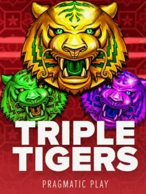 Triple Tigers at Kingdom
