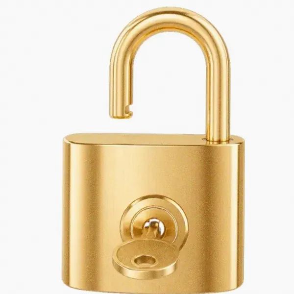 Open padlock — Kingdom